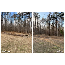 Property-Cleanup-And-Yard-Debris-Removal-In-Oxford-MS 0